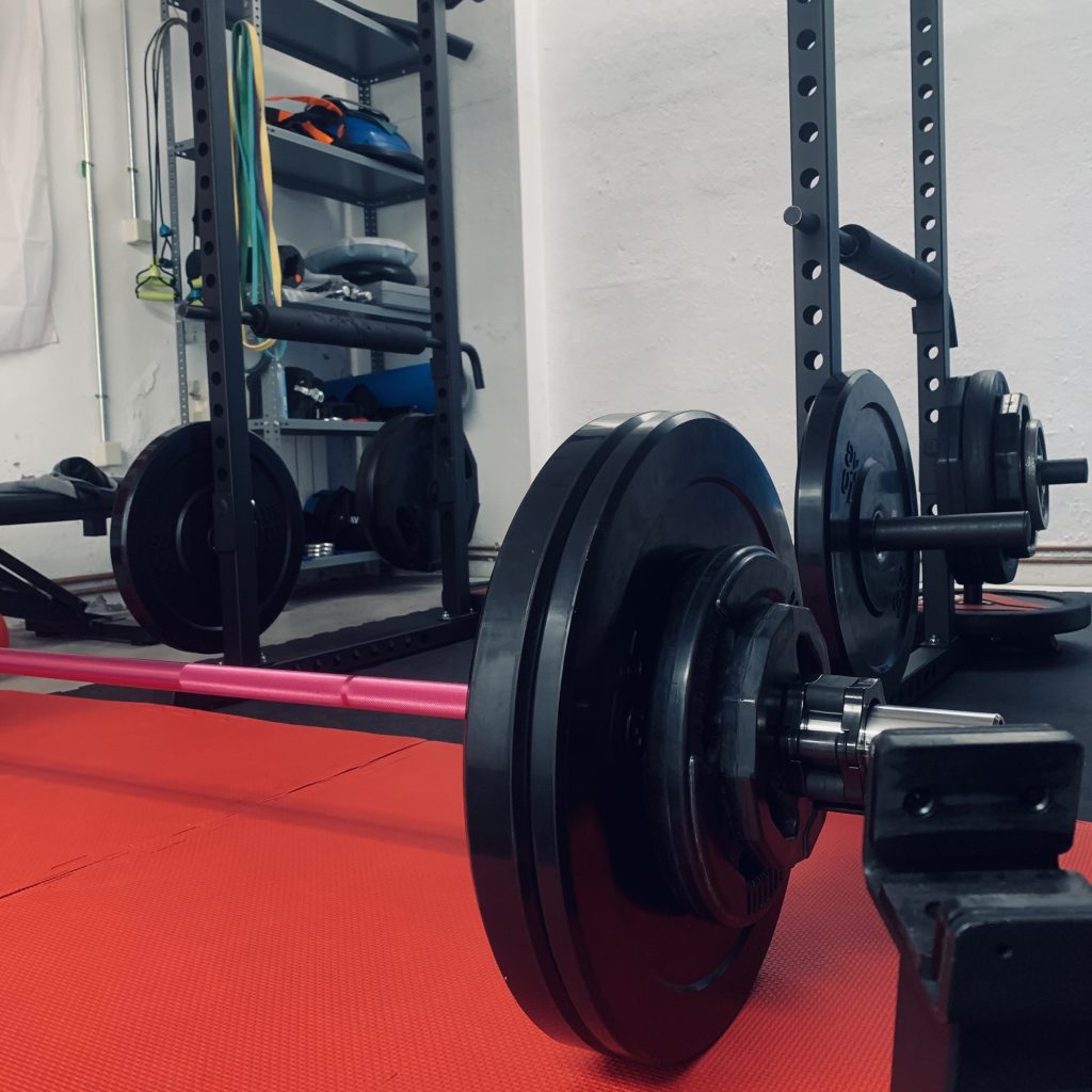Variety of weight plates in a home gym