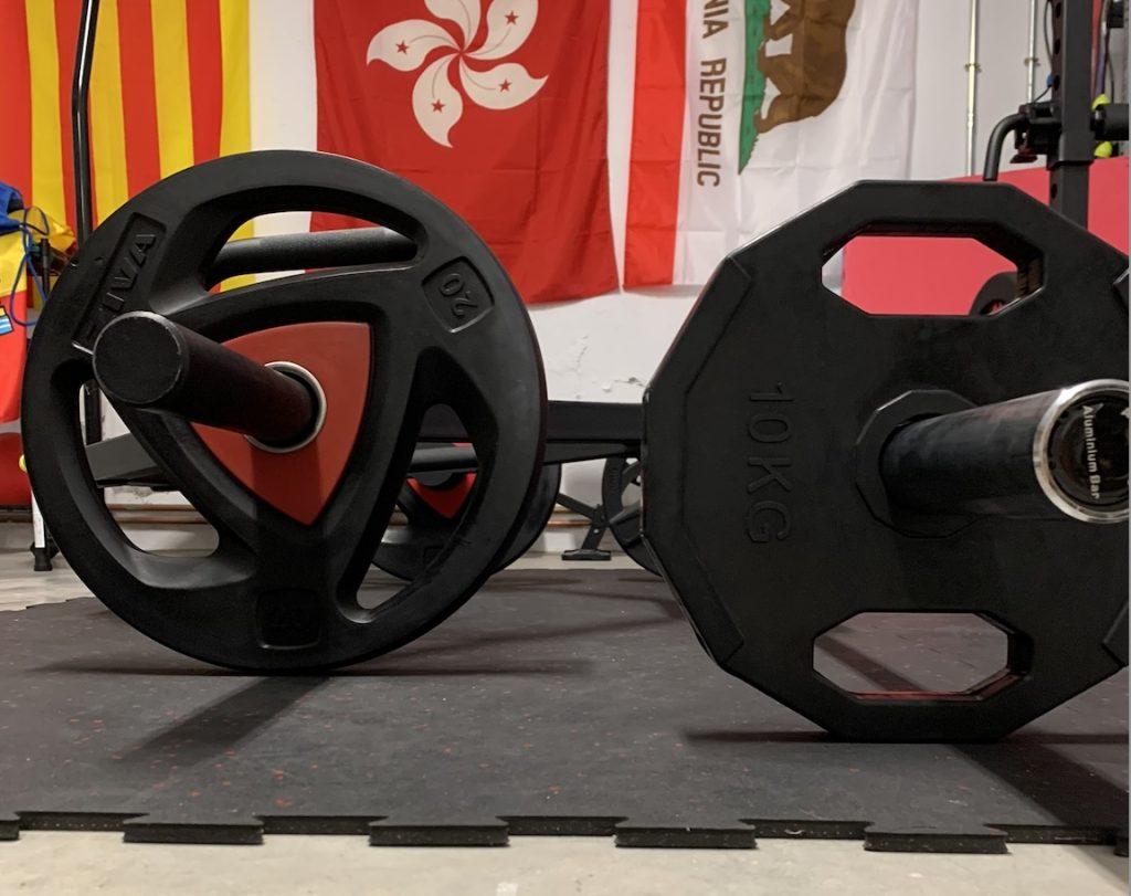 Round Ziva and generic octagonal weight plates side by side